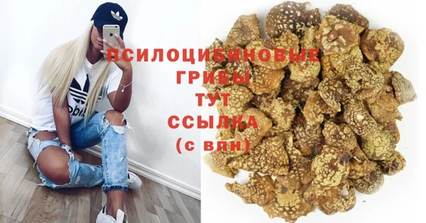 прущие грибы Алексеевка