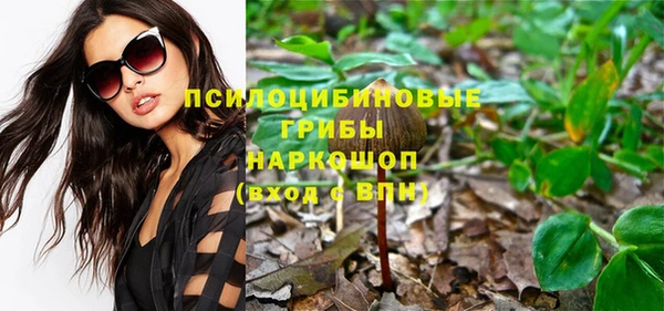 прущие грибы Алексеевка