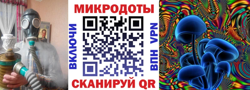 Псилоцибиновые грибы прущие грибы  Чердынь 